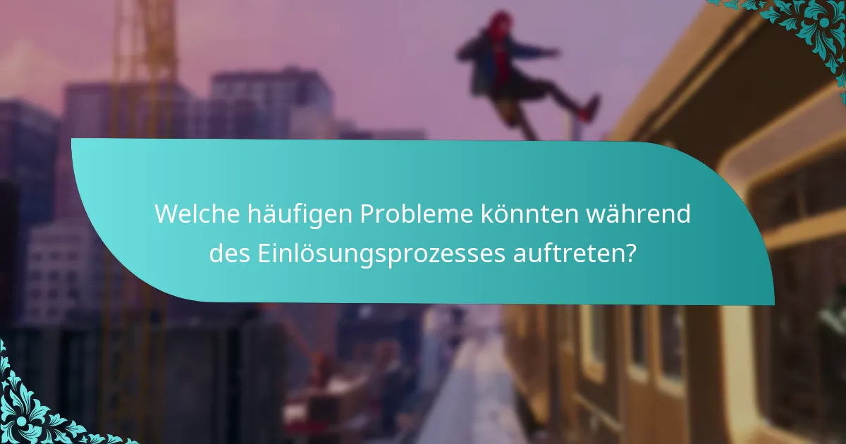Welche häufigen Probleme könnten während des Einlösungsprozesses auftreten?